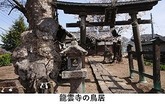 247-9.jpgのサムネール画像のサムネール画像