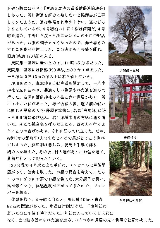 19日目-3.jpg
