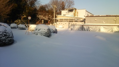 大雪風景-3.JPG